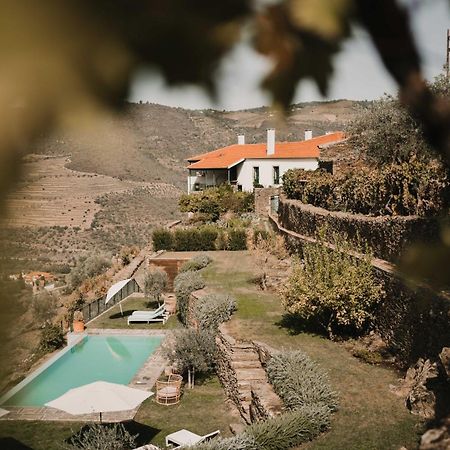 Quinta Da Gricha Hotel Ervedosa do Douro Exterior photo