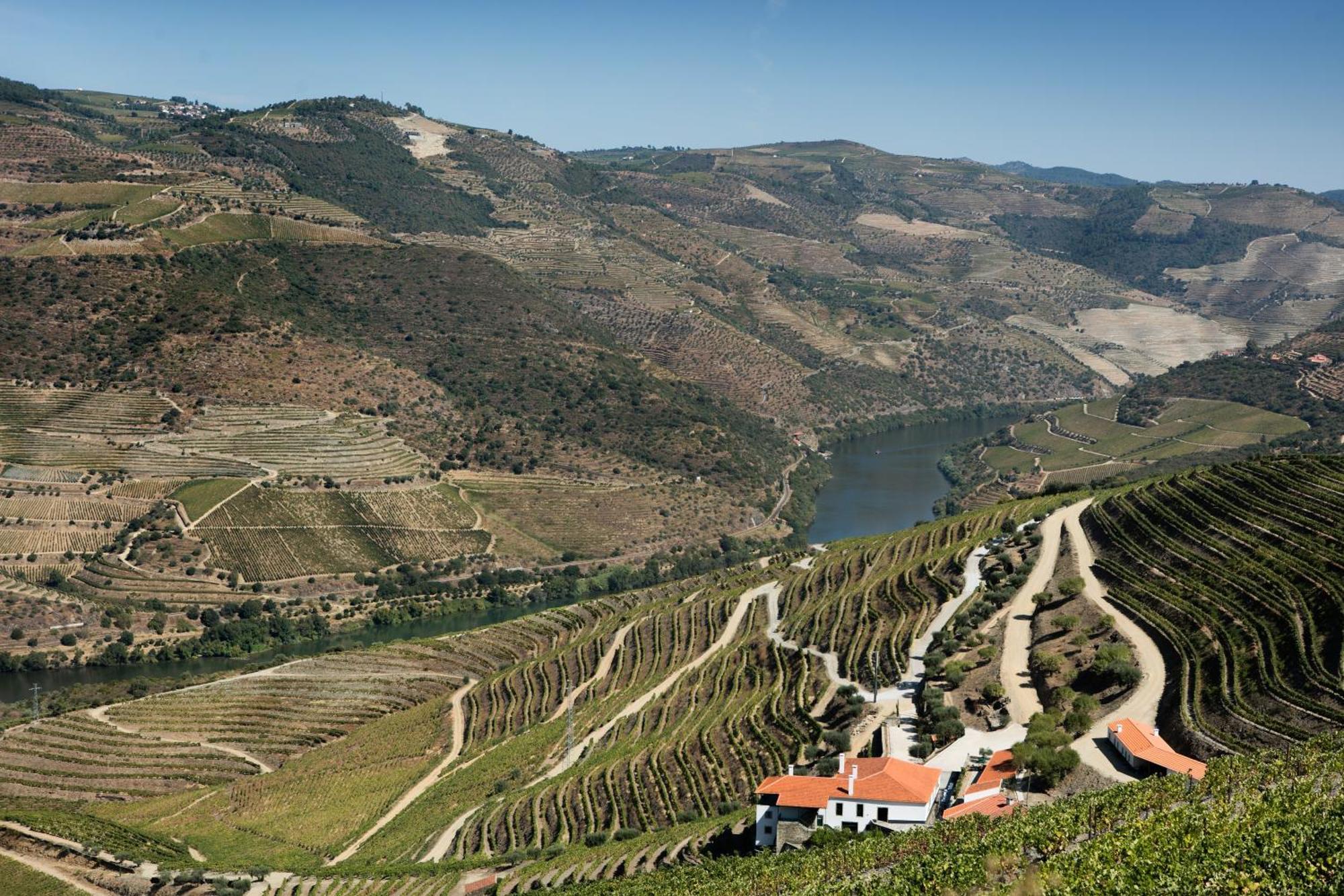 Quinta Da Gricha Hotel Ervedosa do Douro Exterior photo