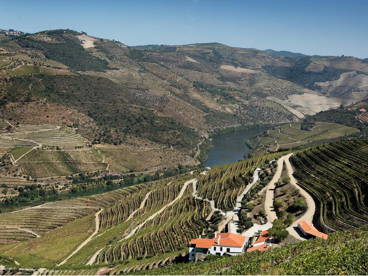 Quinta Da Gricha Hotel Ervedosa do Douro Exterior photo