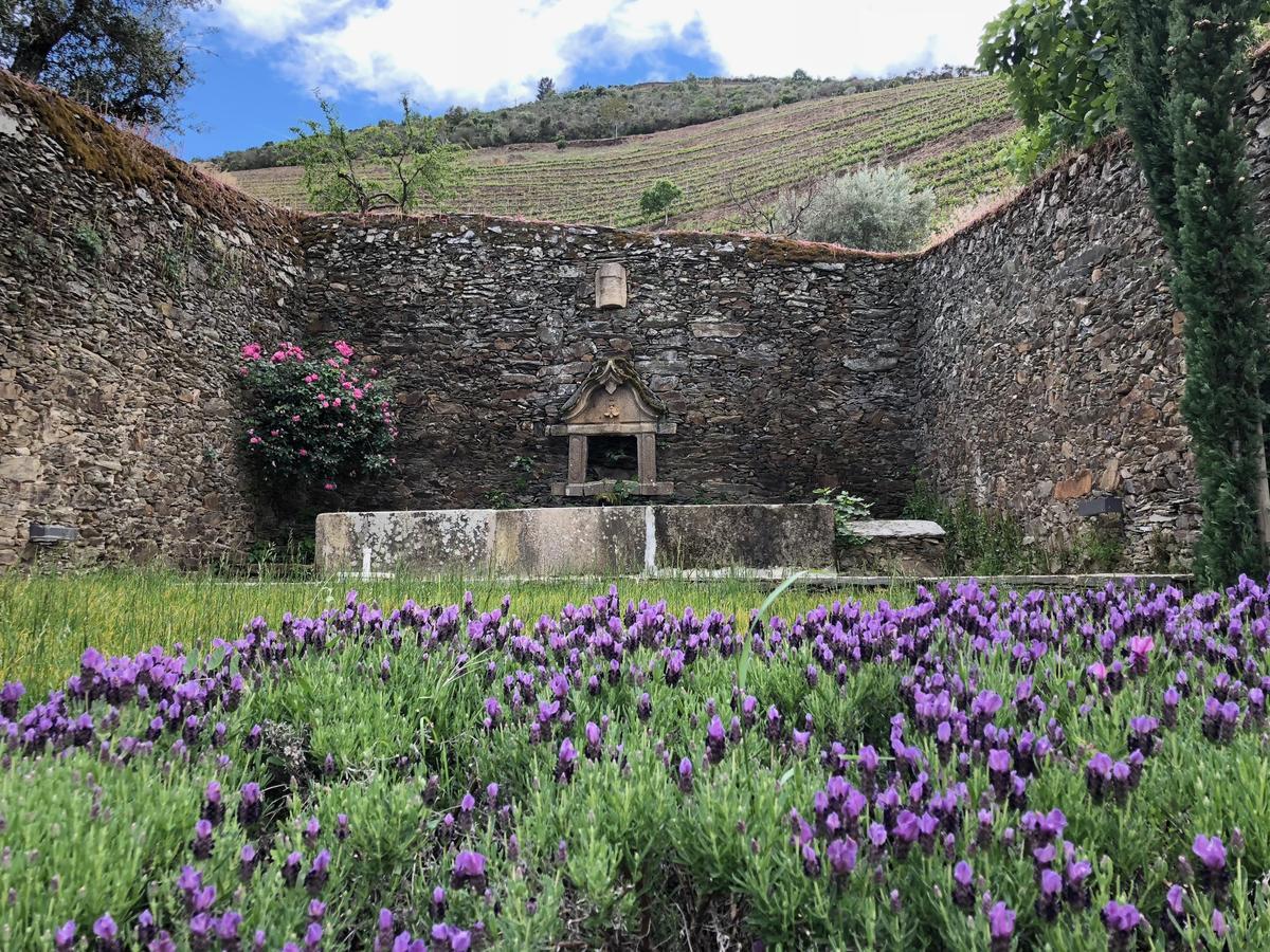 Quinta Da Gricha Hotel Ervedosa do Douro Exterior photo